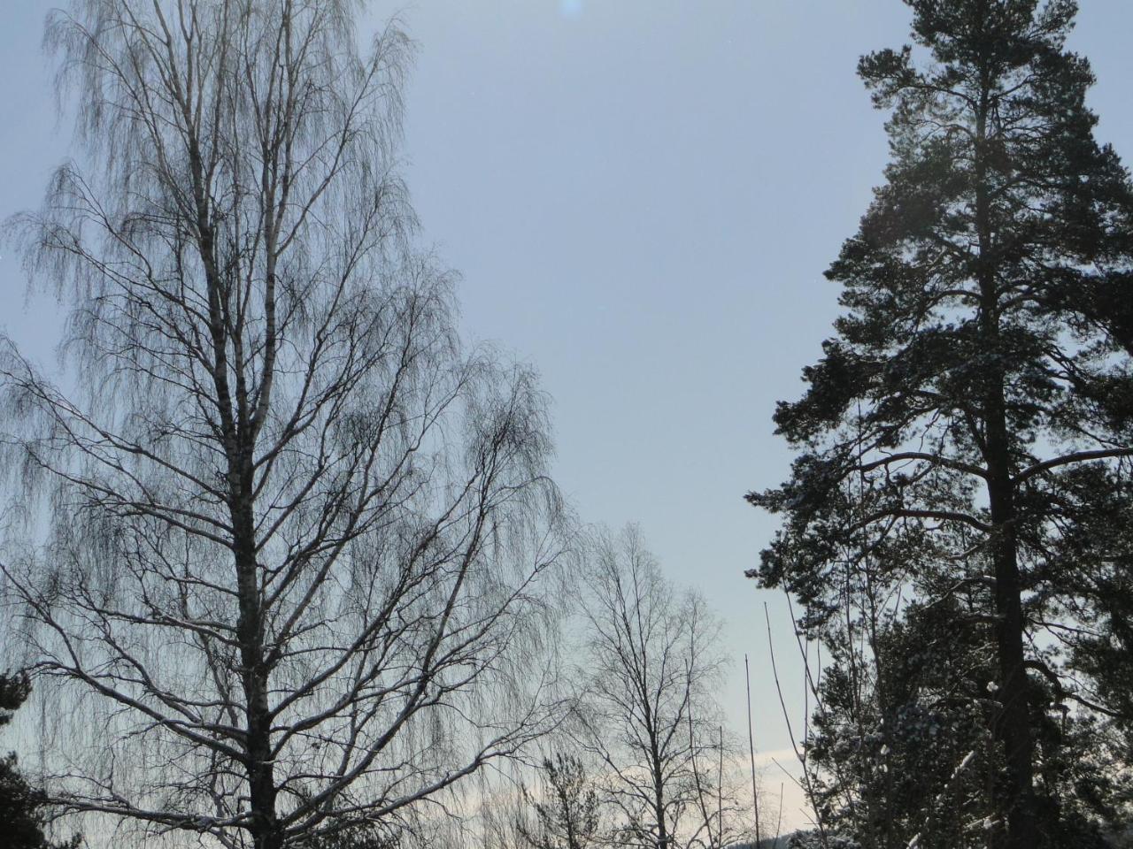 Sunne Hembygdsgard B&B Exterior foto